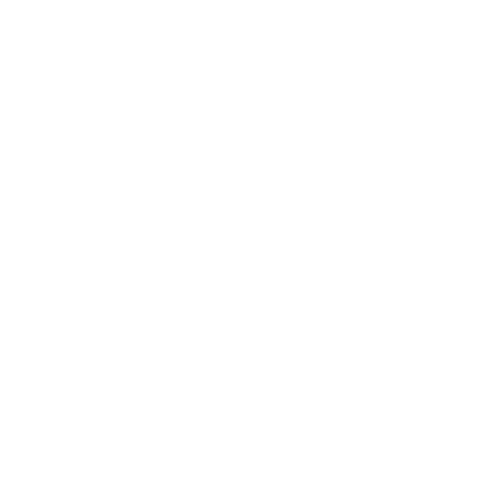 外国ルーツの若者への支援を通して視野を広げ移民の抱える課題への理解を深める。
