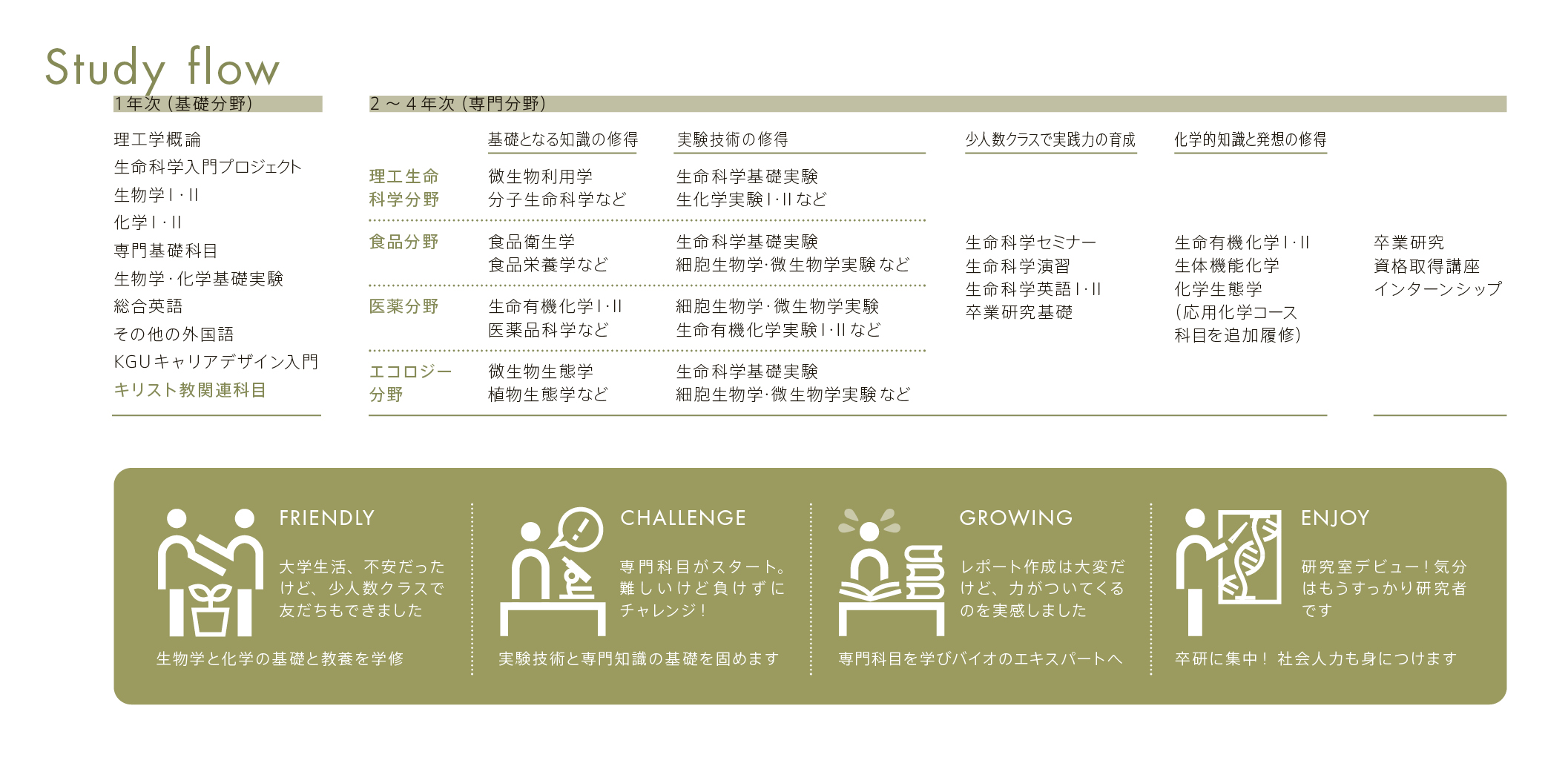 bioscience_2026_study-flow