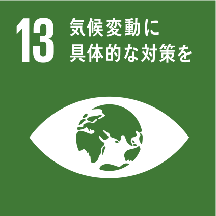 SDGs_13
