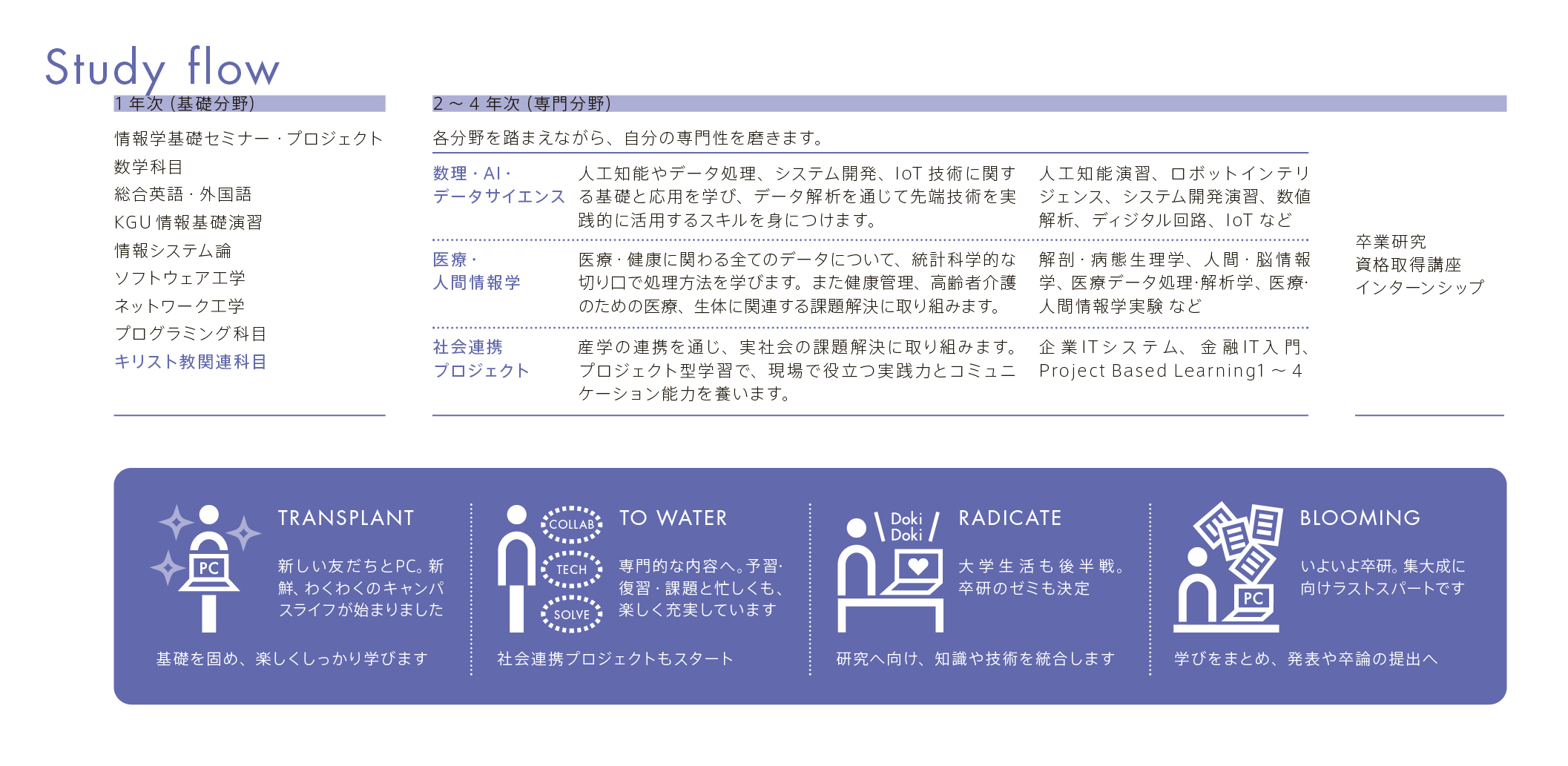 information_2026_study-flow